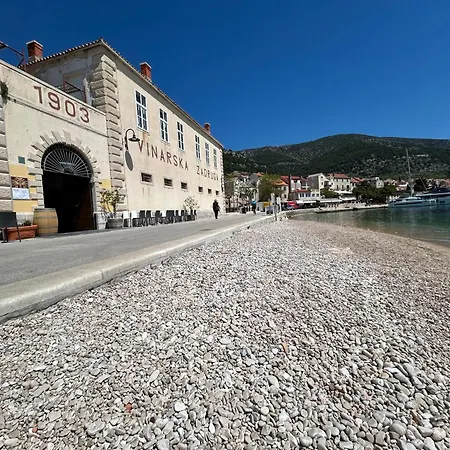 Center Nikolina